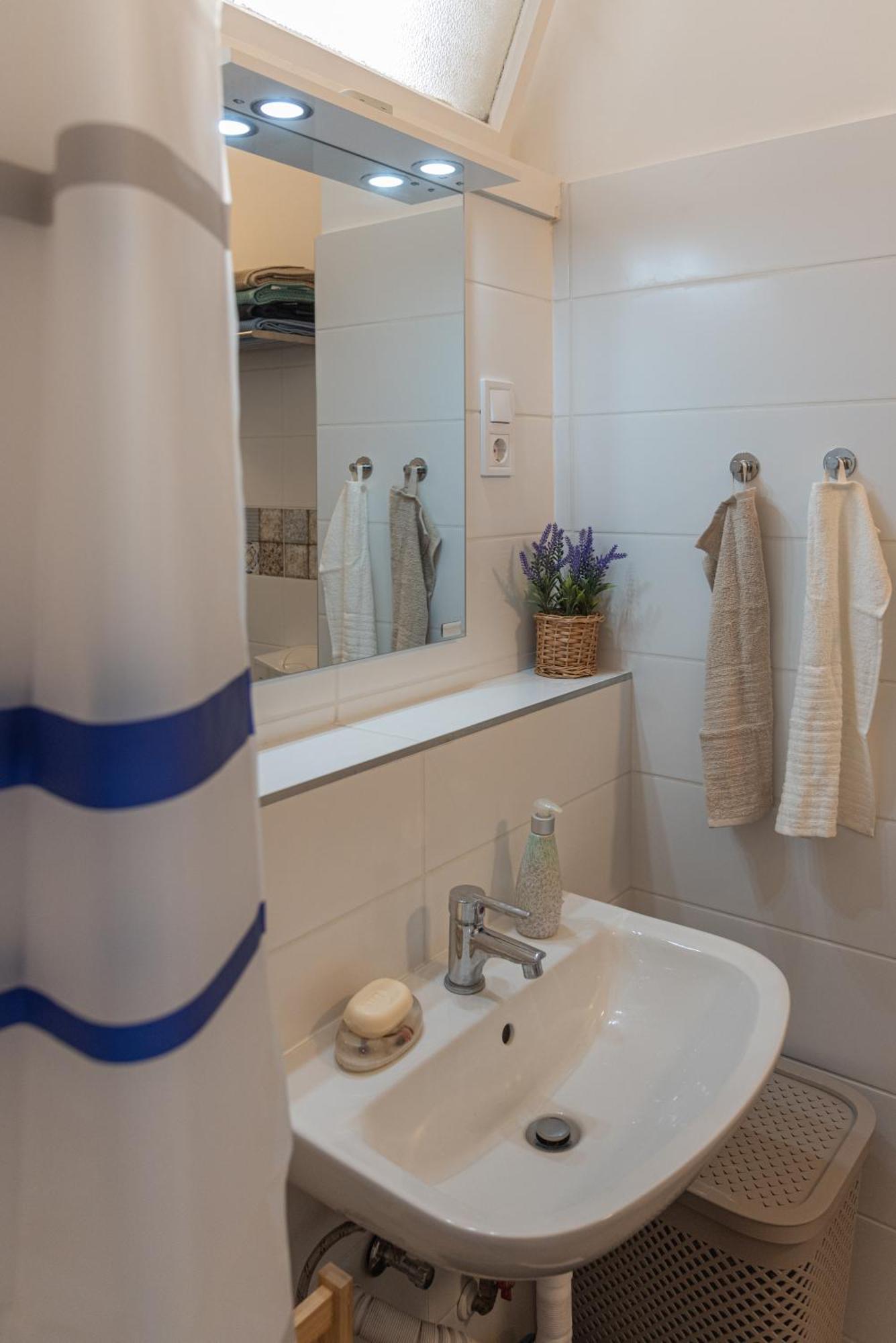 Viol Apartament